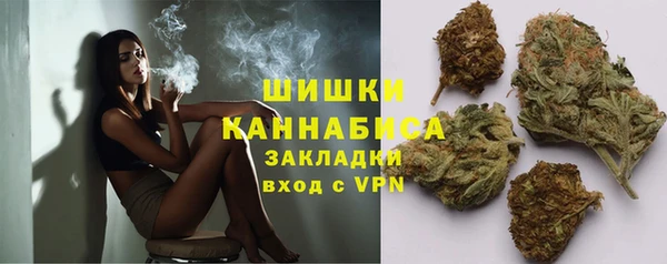 прущие грибы Абаза