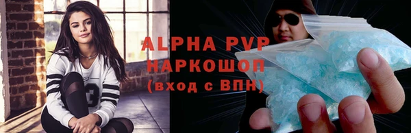 прущие грибы Абаза