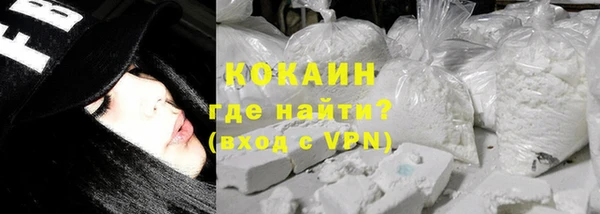 прущие грибы Абаза