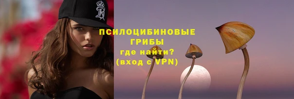 прущие грибы Абаза