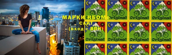 прущие грибы Абаза