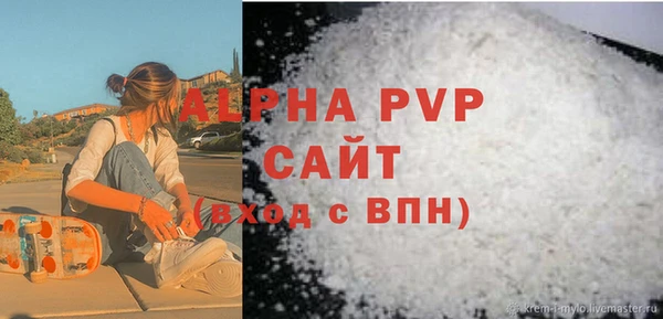 прущие грибы Абаза